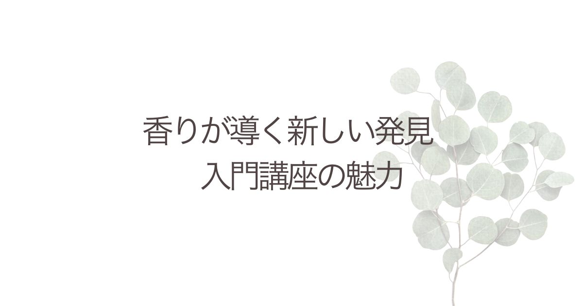 入門講座の魅力